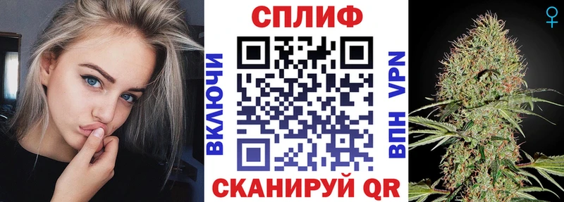ГАШ Обоянь