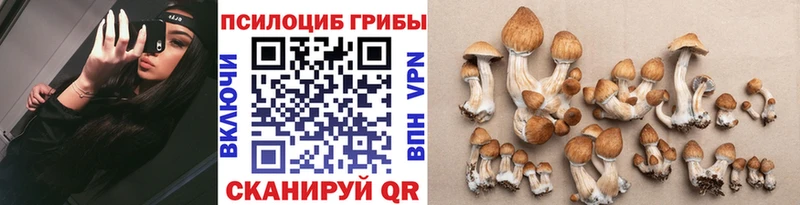 Галлюциногенные грибы MAGIC MUSHROOMS  hydra ТОР  Обоянь  магазин продажи  